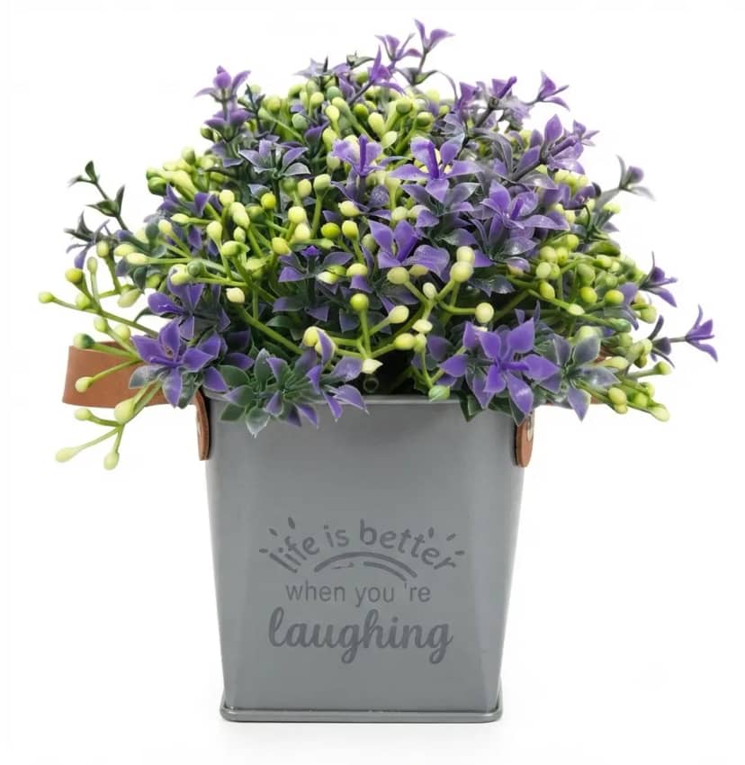 Flower in a Pot
