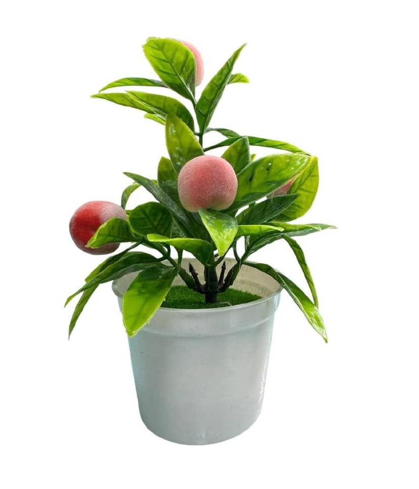 Decorative Potted Berry Plant 253-7 Peach