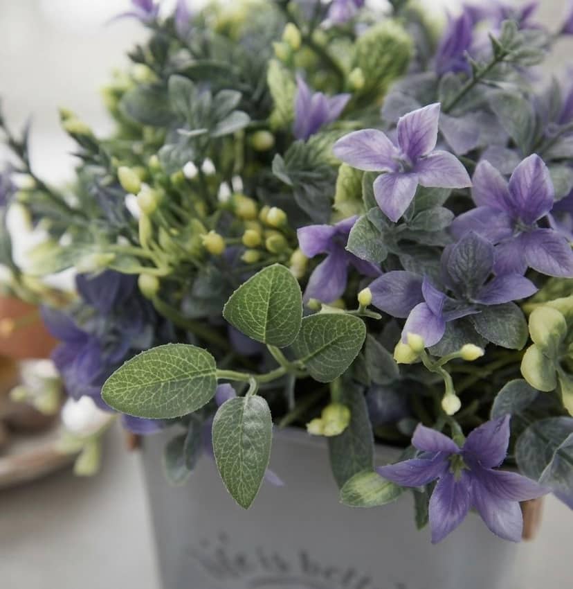 Flower in a Pot 2