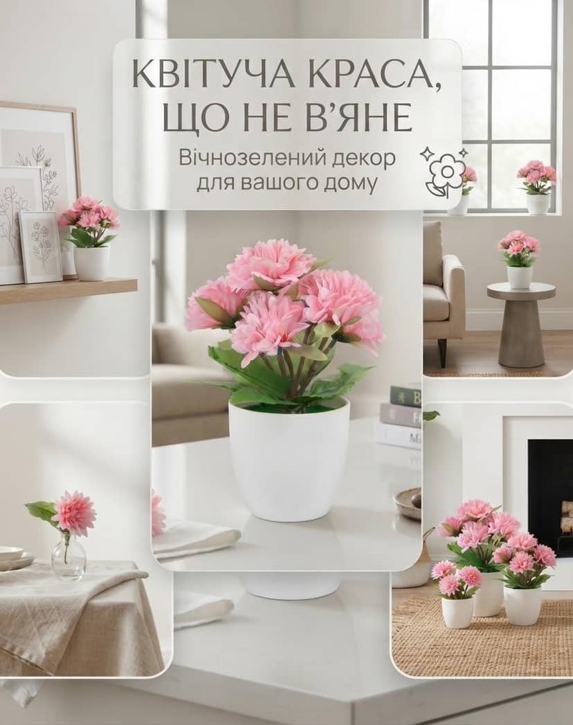 Квітка в горщику 2