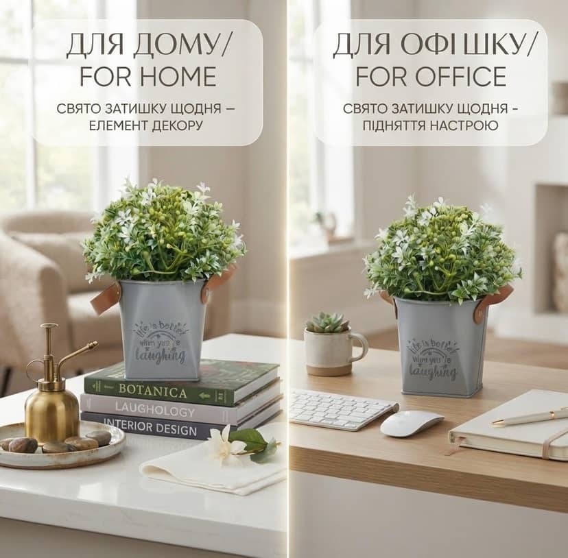 Цветок в горшке 3