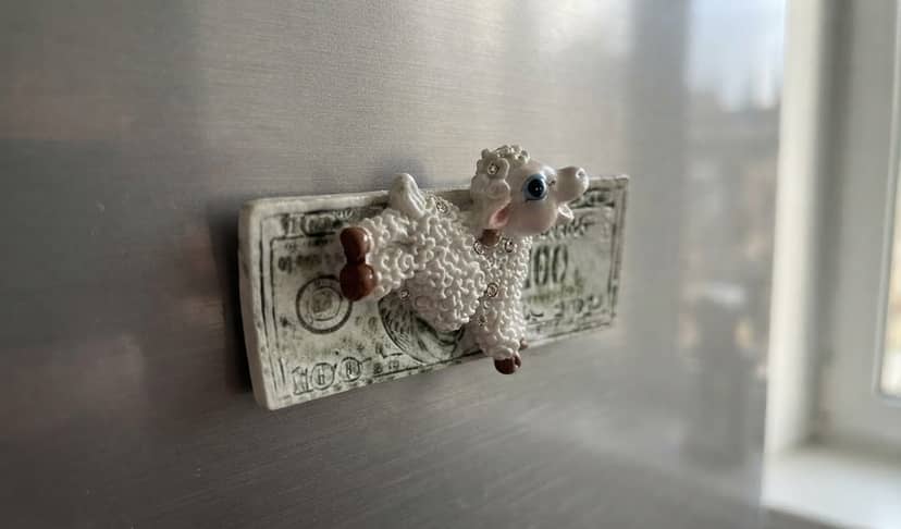 Sheep Dollar Magnet 2