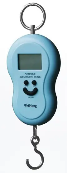 Portable Electronic Scale 5
