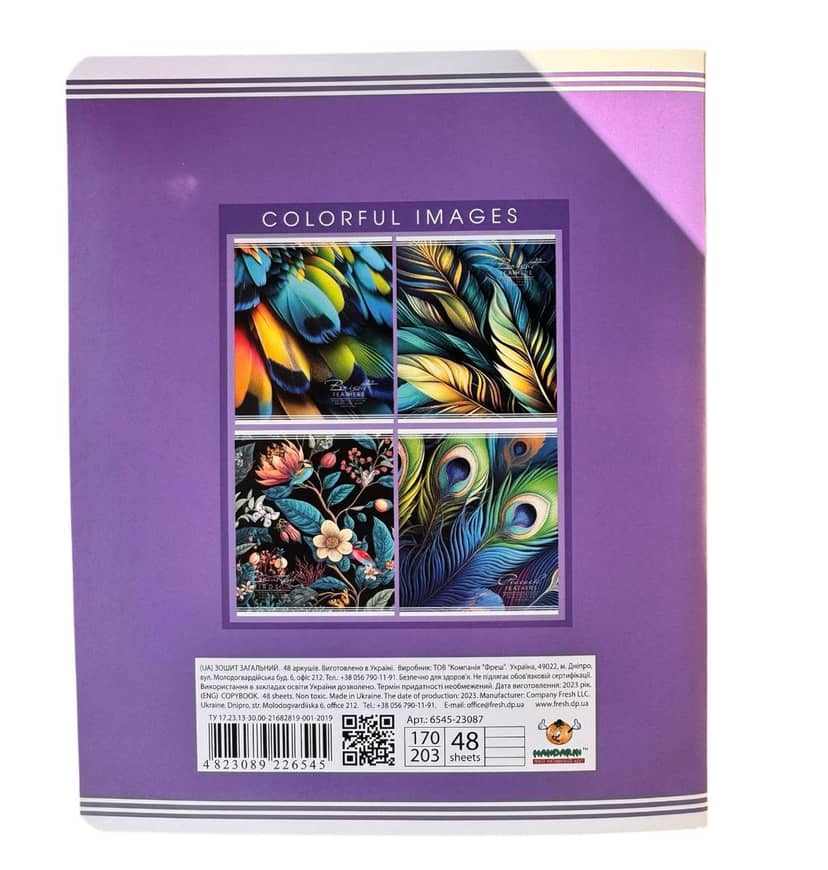 School Exercise Book Stapled 48 Sheets Lined Fresh Circles Pattern 2